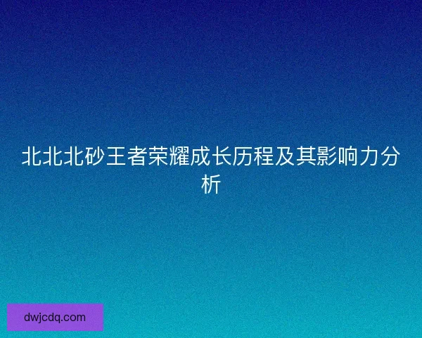 北北北砂王者荣耀成长历程及其影响力分析
